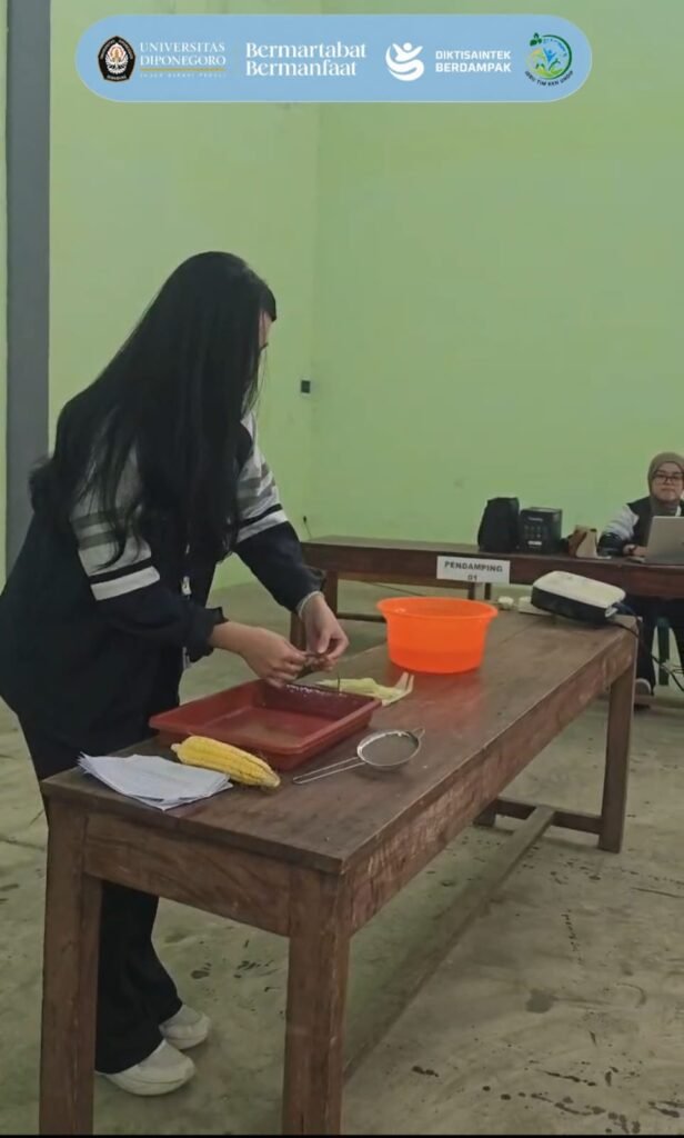 Pemanfaatan Rambut Jagung Menjadi Teh Bernilai melalui Pelatihan Pengolahan untuk Mendukung SDG’s 2 dan 8 di Desa Jragung k3 04 a2 g2
