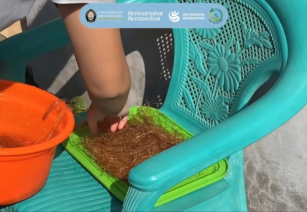 Pemanfaatan Rambut Jagung Menjadi Teh Bernilai melalui Pelatihan Pengolahan untuk Mendukung SDG’s 2 dan 8 di Desa Jragung k3 04 a2 g4